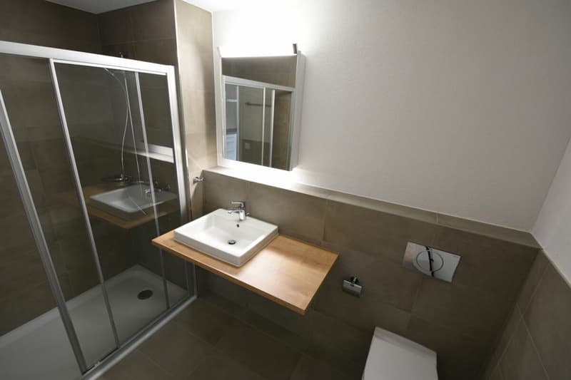 Maison de plusieurs générations (5,5 et 2,5 pièces) (6)