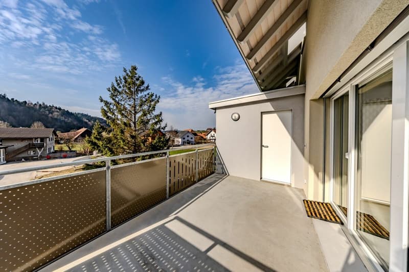 Wir verkaufen unsere Musterwohnung (9)