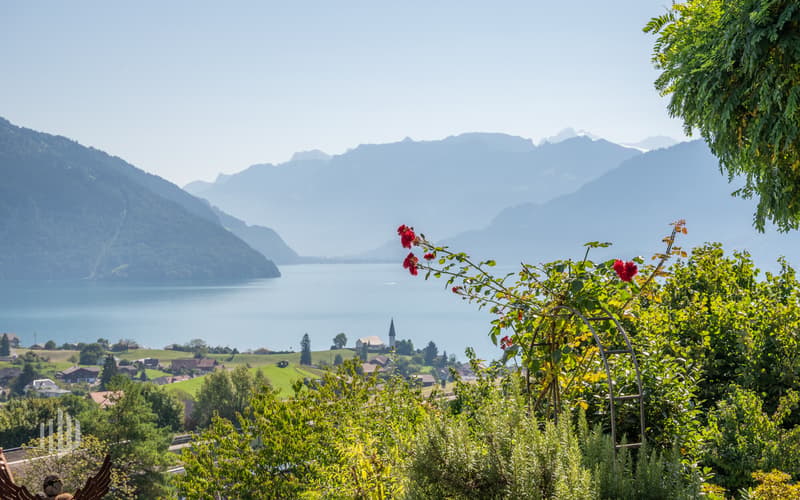 Weitsicht auf den beliebten Thunersee