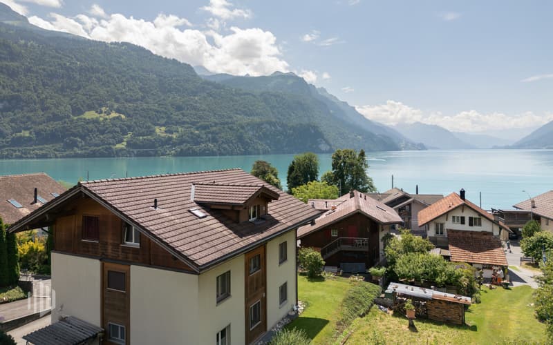 Sicht auf den Brienzersee