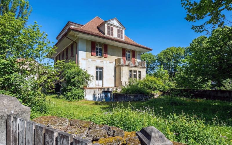 Eine grüne, ruhige Oase an der Aare, mitten in der Stadt Thun.