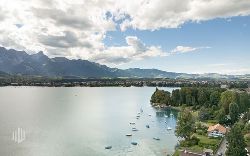 ImmoWyss - 1'113 m2 Bauland am Thunersee für exklusive Wohnträume (3)