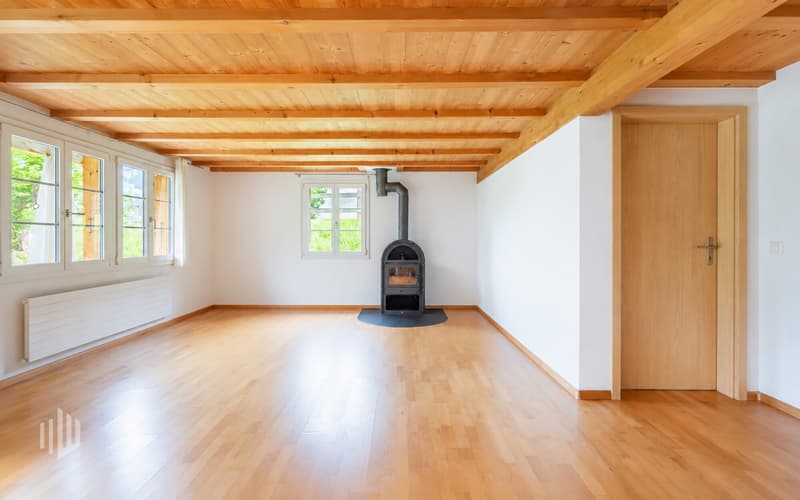 Wohnzimmer mit Schwedenofen für gemütliche Stunden