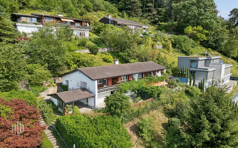 ImmoWyss - Charmantes Zuhause mit traumhafter Sicht auf den Thunersee (1)