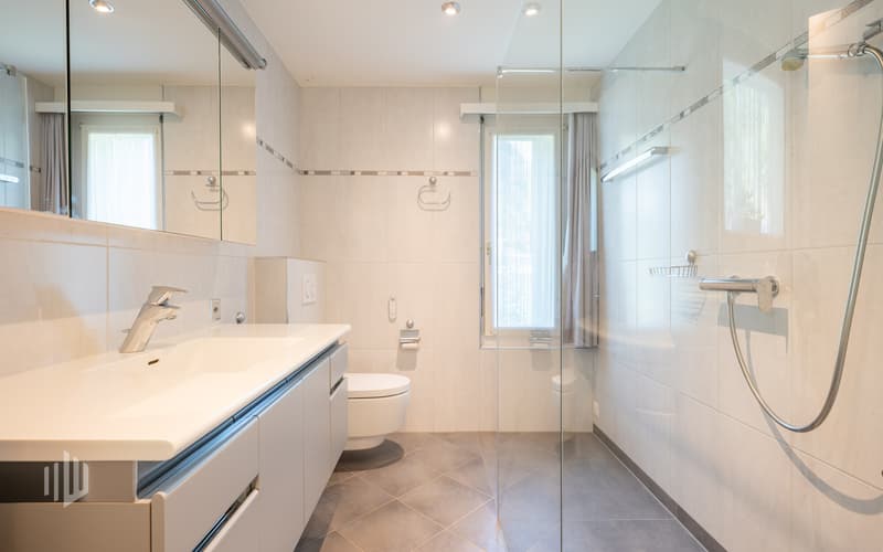 Renoviertes Badezimmer mit begehbarer Dusche, Lavabo und Dusch-WC