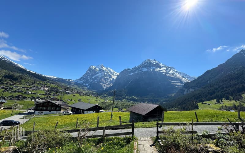 Sicht ins Dorf und zum Wetter- und Schreckhorn