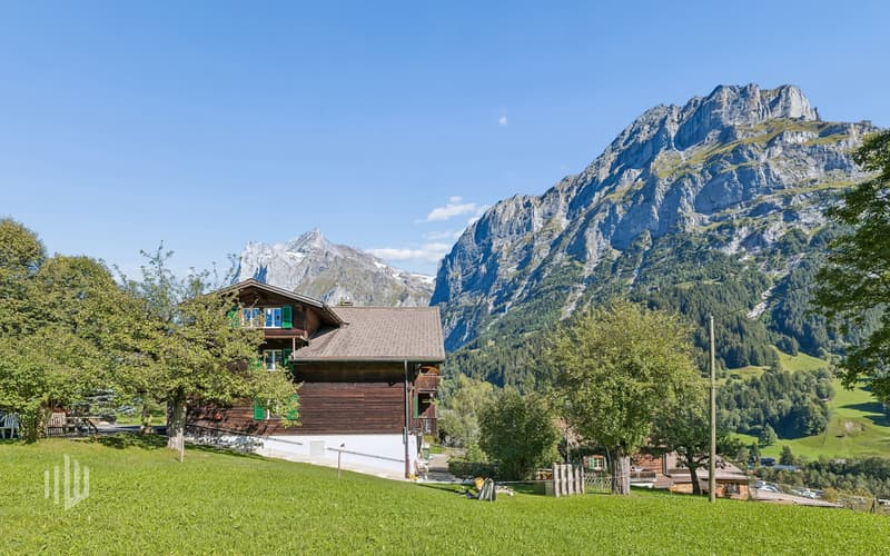 Seitliche Chaletansicht mit dem Schreckhorn im Hintergrund sowie den Mettenberg