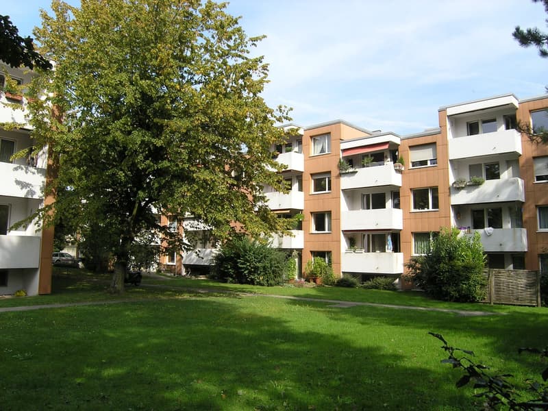 Charmante 4.5-Zimmer-Wohnung mit Balkon in Solothurn (1)