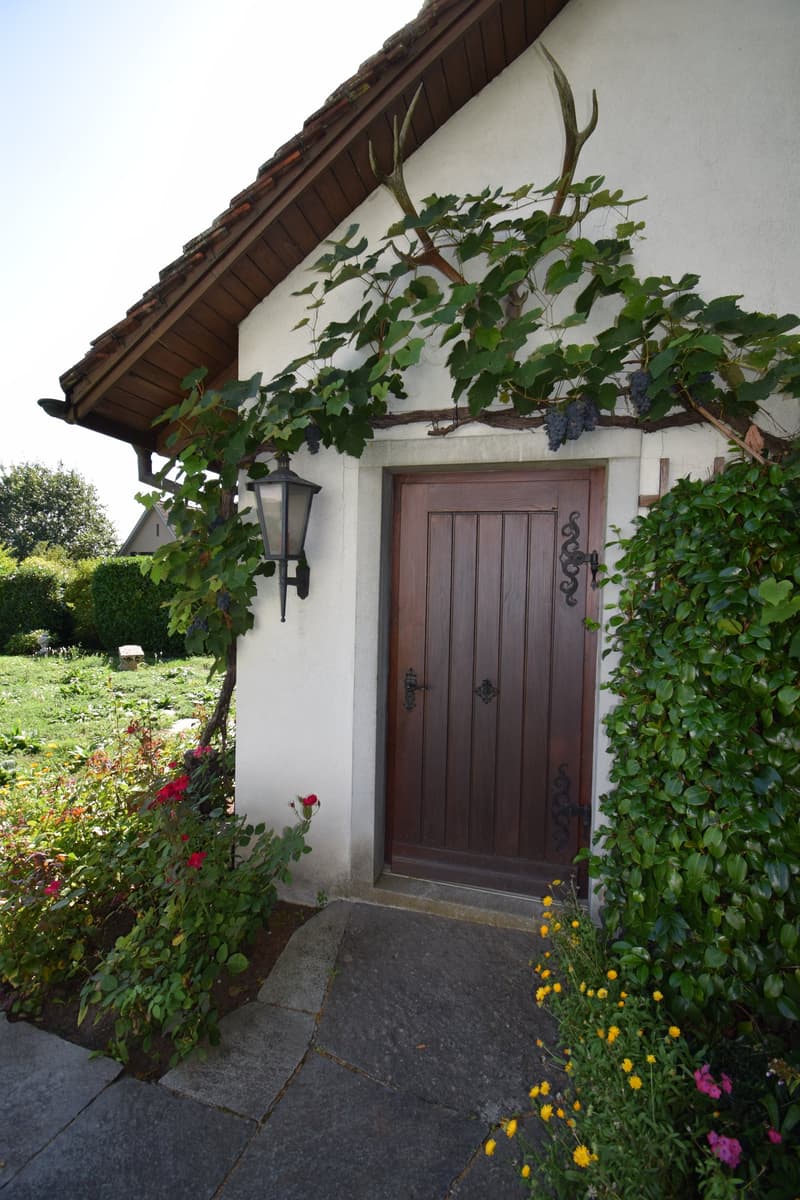 LANDHAUS MIT VIEL PRIVATSPHÄRE (7)