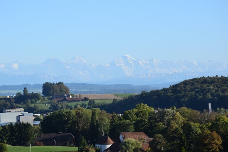 LANDHAUS MIT VIEL PRIVATSPHÄRE (17)