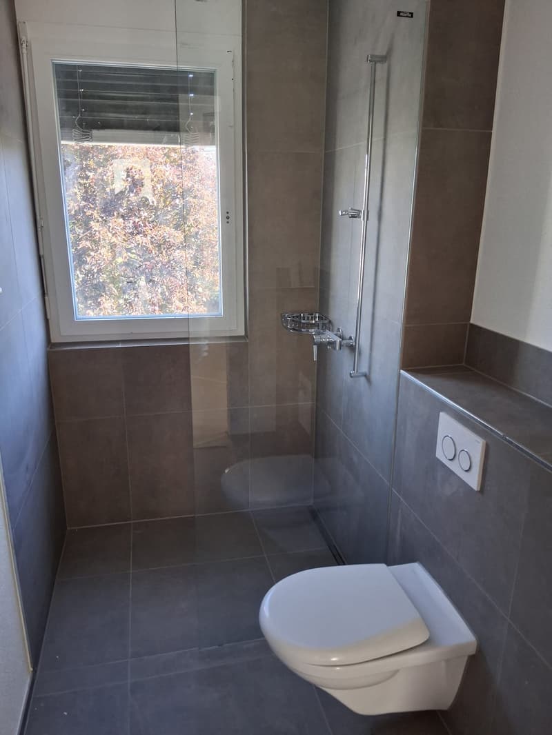 Helle 3.5-Zimmer-Dachwohnung mit grossem Balkon und schöner Aussicht (4)