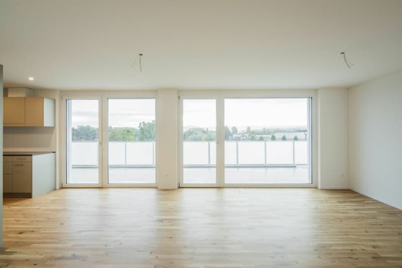 moderne Attikawohnung im Eigentumsstandard (3)