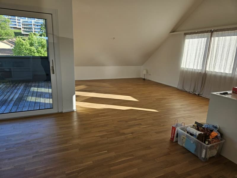 Moderne 3.5-Zimmerwohnung in St. Gallen (6)