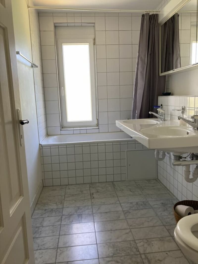 Attraktive Altbauwohnung an ruhiger Lage (5)