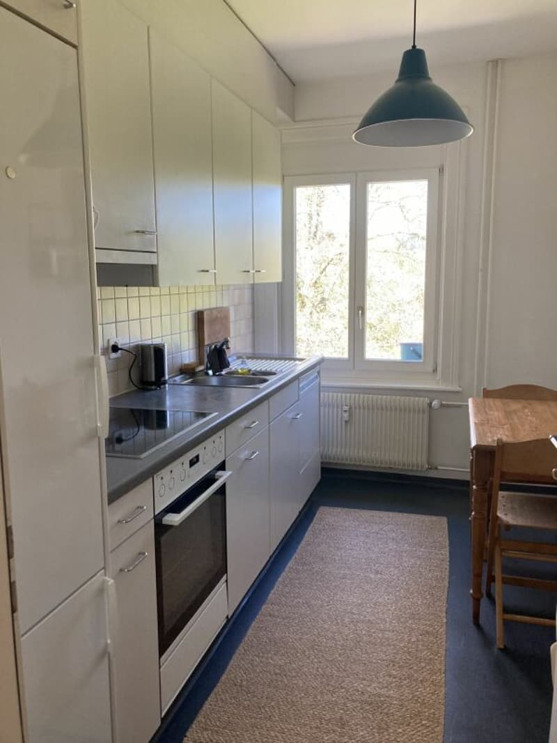 Attraktive Altbauwohnung an ruhiger Lage (3)