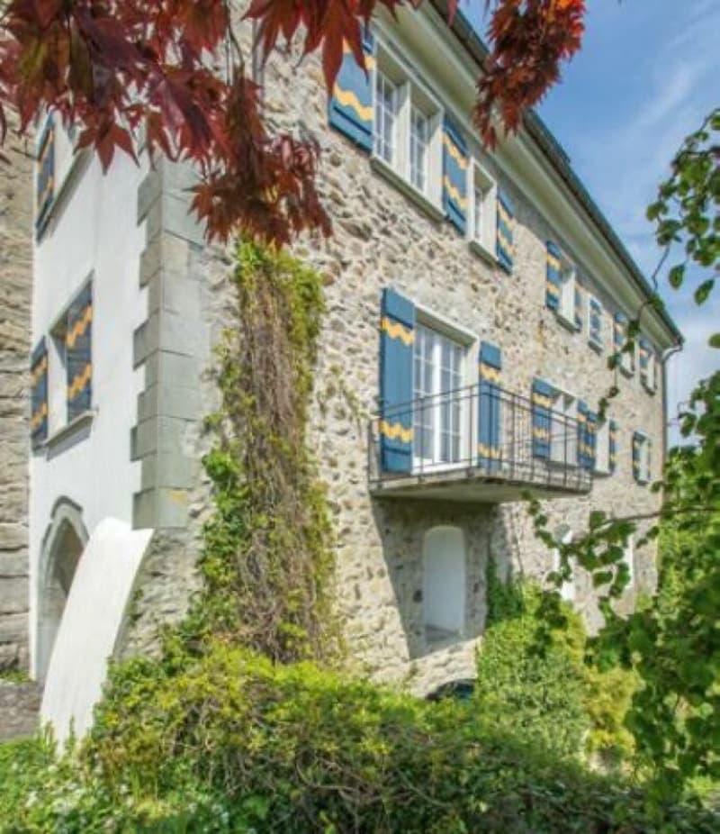 Einzigartiges Wohnen in historischem Gebäude (Schloss Sulzberg) an idyllischer Lage (8)