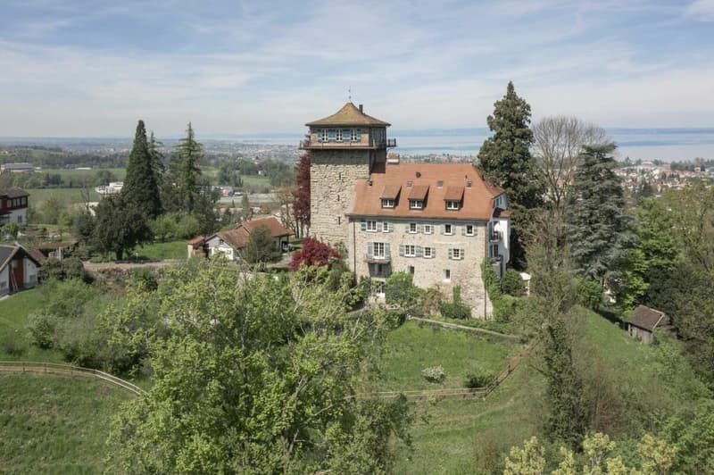 Einzigartiges Wohnen in historischem Gebäude (Schloss Sulzberg) an idyllischer Lage (7)