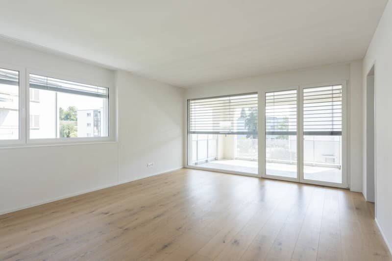 Moderne Wohnung sucht neue Mieter (4)
