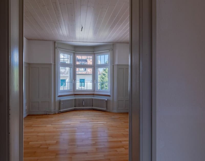 0815 war gestern! Einmalige, moderne Jugendstilwohnung sucht neue Mieter (4)