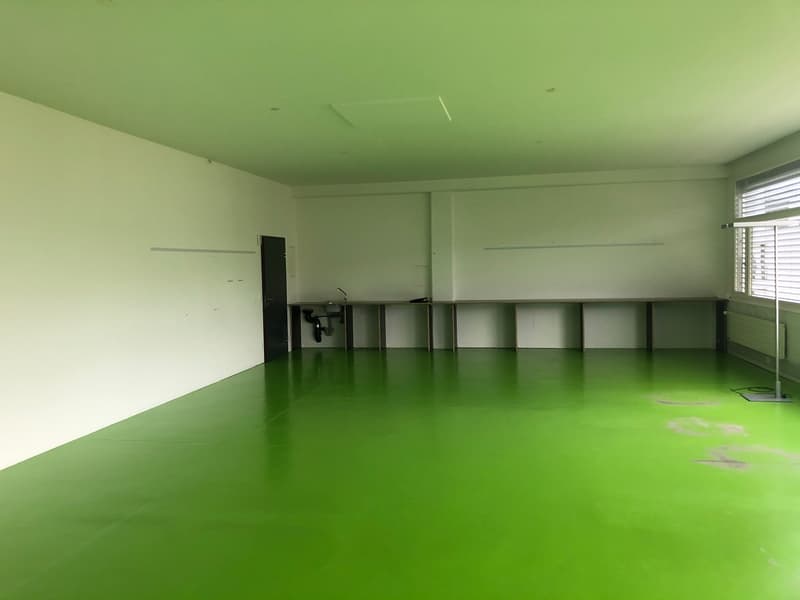 Empty room, green floor, white walls, door, sink, counter