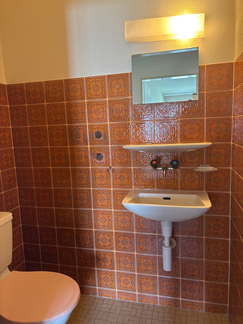Geräumige Wohnung mit Balkon in Romanshorn (8)
