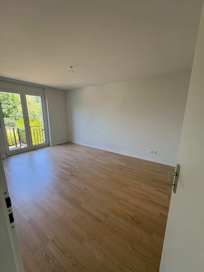 Charmantes 6.5-Zimmer-Haus mit schönem Garten (8)