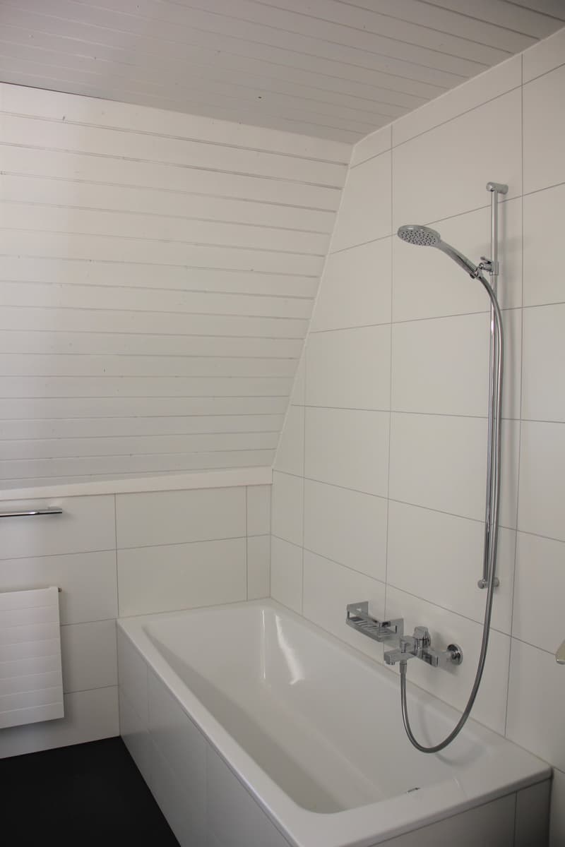 Helle 4.5-Zimmer-Wohnung in attraktiver Lage (5)