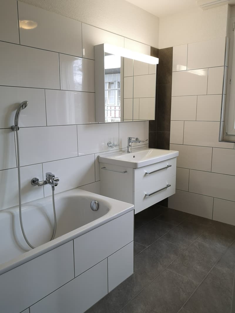 4.5 Zi.-Wohnung im Grünen zu vermieten (7)