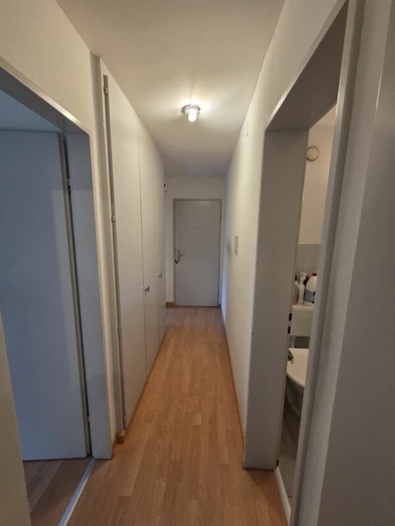 2.5 Zi-Whg mit Sitzplatz in ruhigem Uni-Quartier (4)
