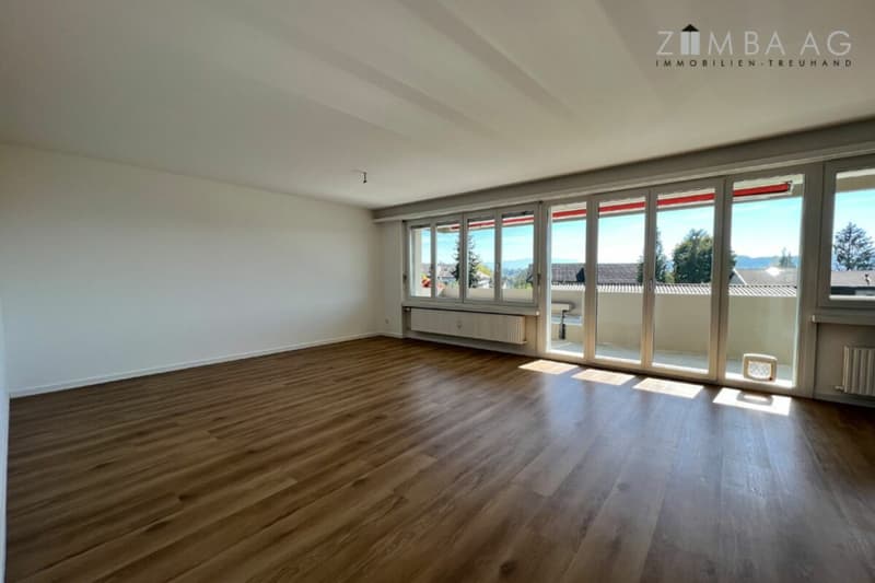 Grosszügig, sehr ruhige Lage, viel Sonne, grosser Balkon, WM/Tumbler (11)