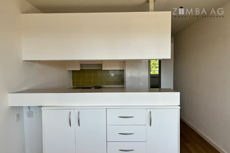 Grosszügig, sehr ruhige Lage, viel Sonne, grosser Balkon, WM/Tumbler (16)