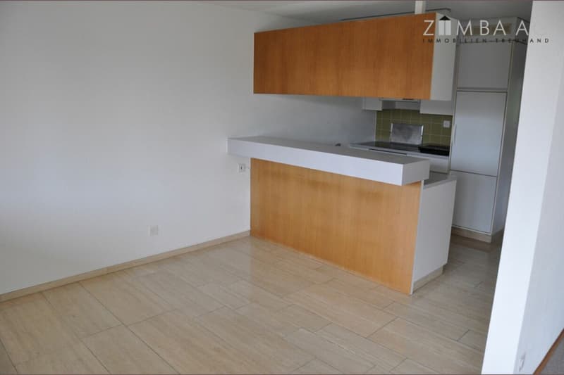 Grosszügig, sehr ruhige Lage, viel Sonne, grosser Balkon, WM/Tumbler (13)