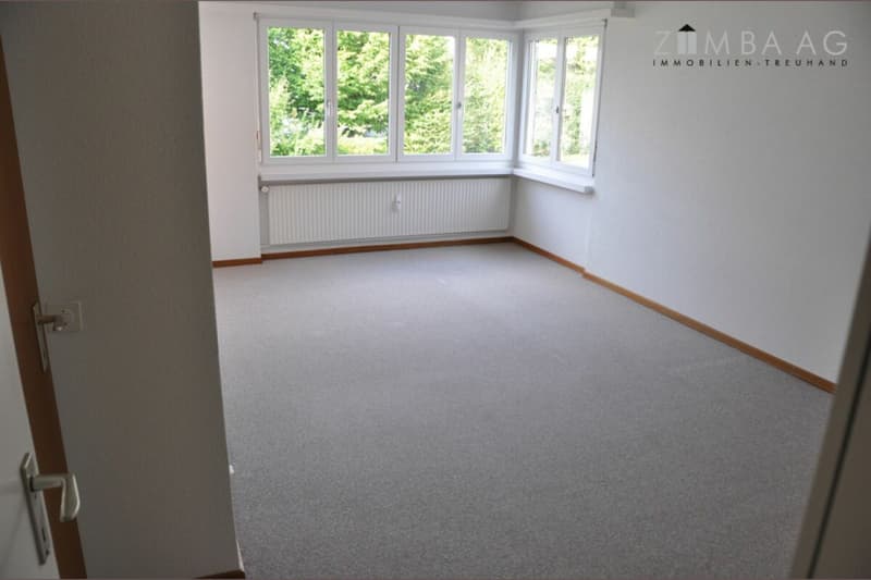 Grosszügig, sehr ruhige Lage, viel Sonne, grosser Balkon, WM/Tumbler (22)