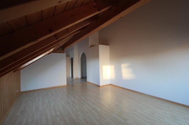 3 1/2-Zimmer-Dachwohnung (4)