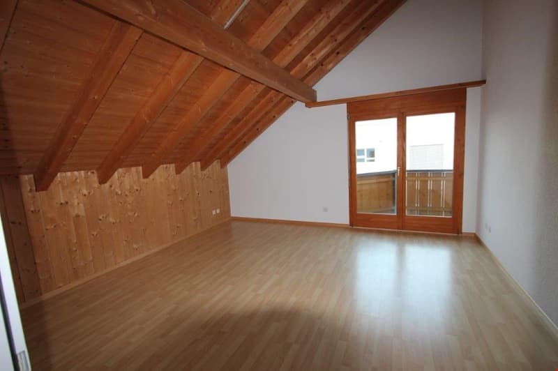 3 1/2-Zimmer-Dachwohnung (5)