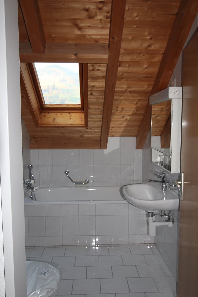 3 1/2-Zimmer-Dachwohnung (9)