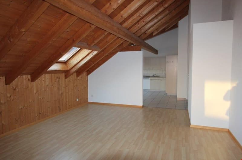 3 1/2-Zimmer-Dachwohnung (3)