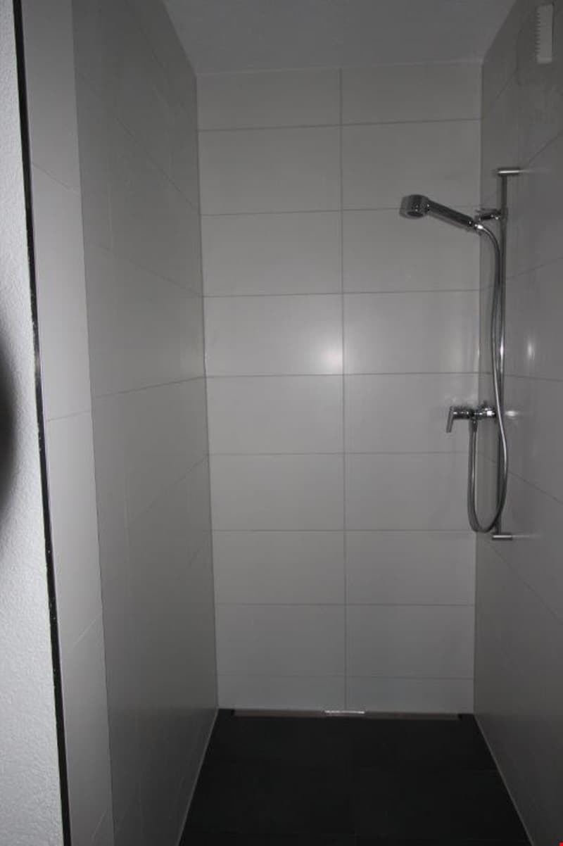 3 1/2-Zimmer-Dachwohnung (10)
