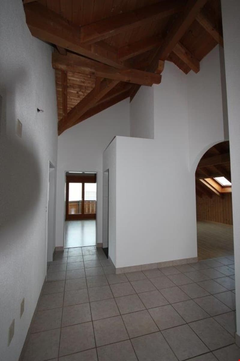 3 1/2-Zimmer-Dachwohnung (6)