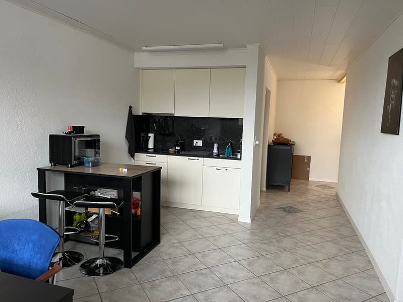 1 1/2-Zimmerwohnung (6)
