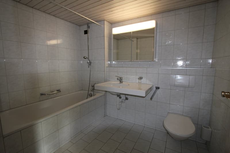 originelle 3 1/2-Zimmerwohnung (4)