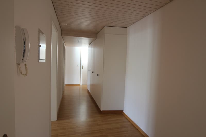 originelle 3 1/2-Zimmerwohnung (7)