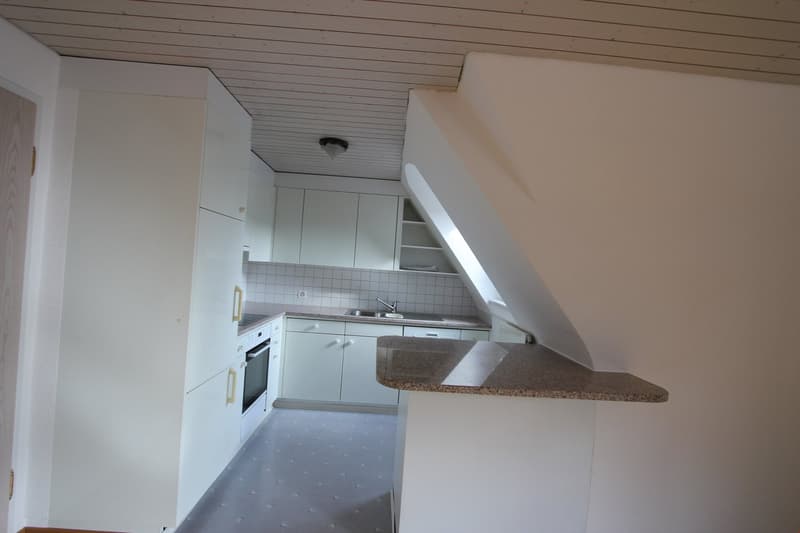 originelle 3 1/2-Zimmerwohnung (3)