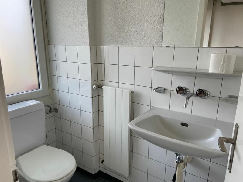 Attraktive Gewerbefläche im Zentrum von Buchs (3)