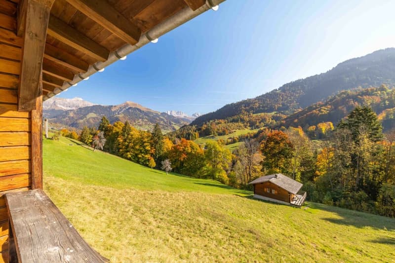 Idyllisches Maiensäss zu verkaufen (12)