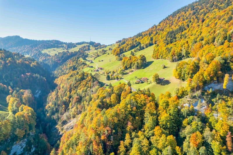 Idyllisches Maiensäss zu verkaufen (13)