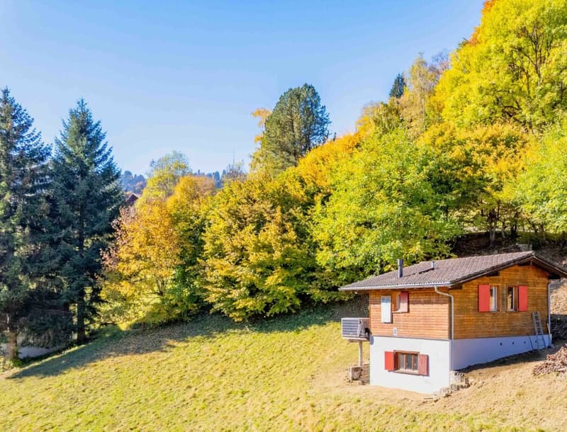 Idyllisches Maiensäss zu verkaufen (8)