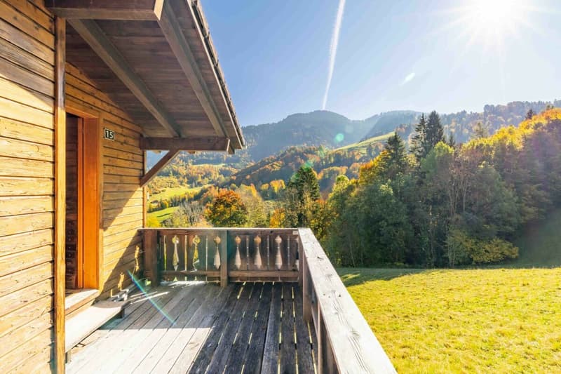 Idyllisches Maiensäss zu verkaufen (10)