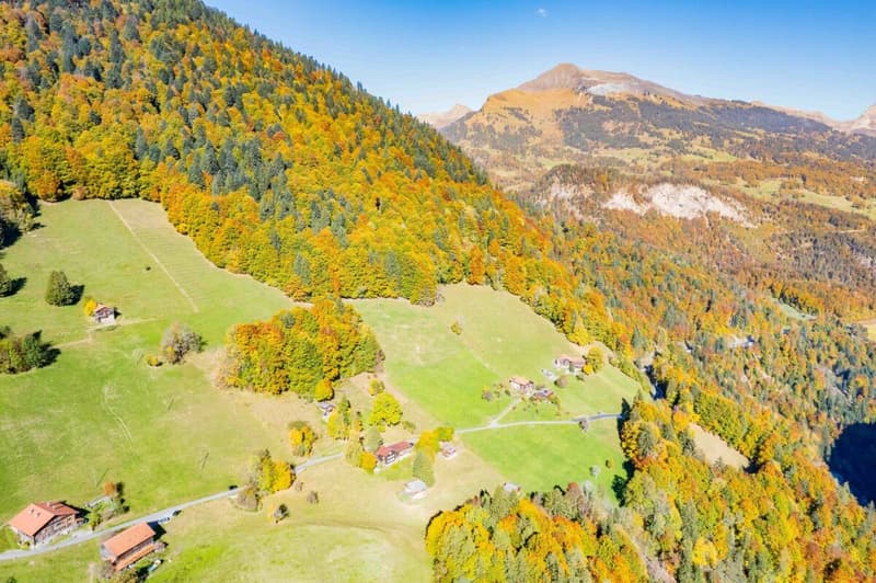 Idyllisches Maiensäss zu verkaufen (14)