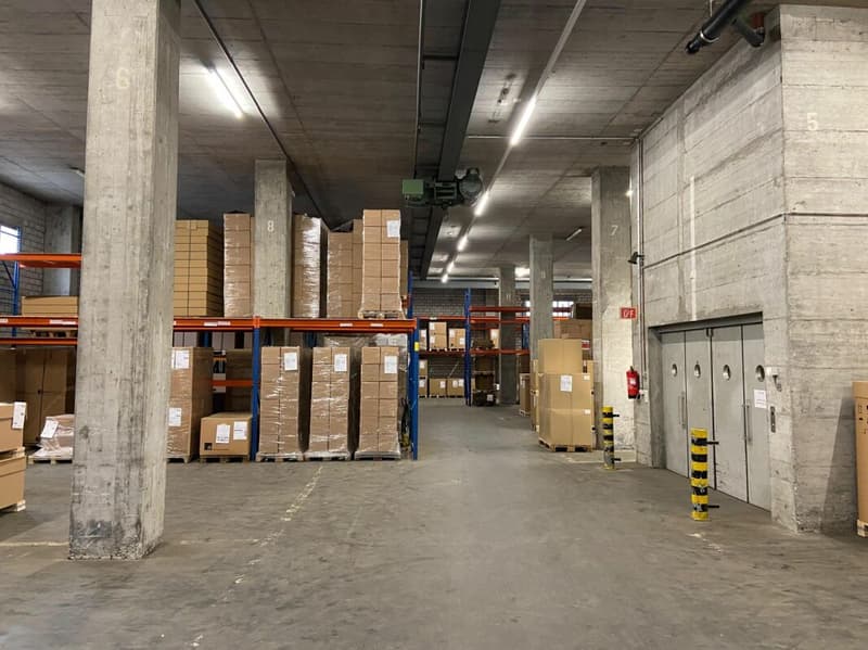 Viel Raum für Ihr Gewerbe - Lagerhalle mit Aufzug & Rampe (6)